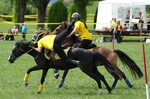 File:4ème manche du championnat suisse de Pony games 2013 - 